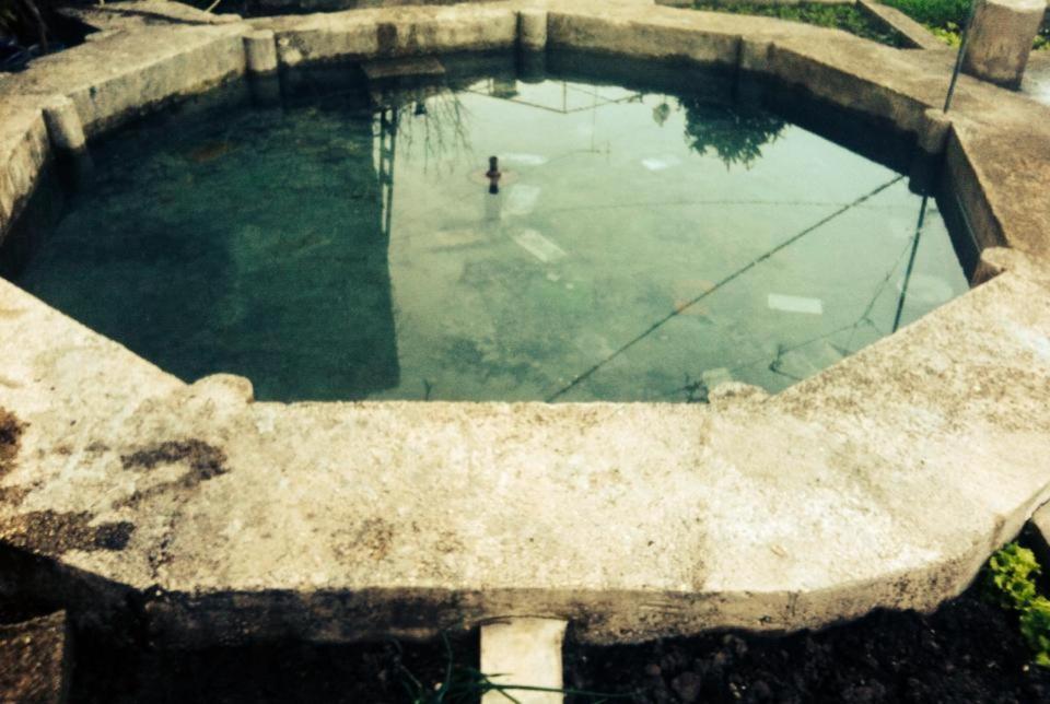 Guest house Celo Gjirokaster