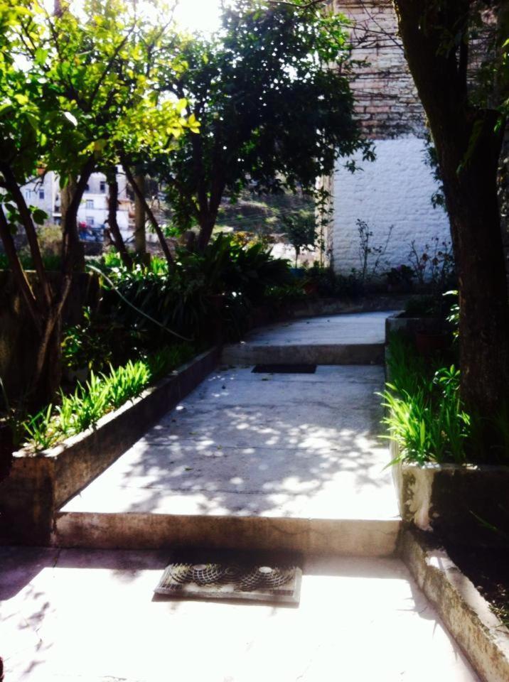 Guest house Celo