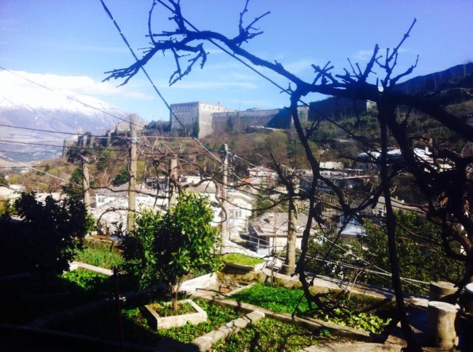 Celo * Gjirokaster
